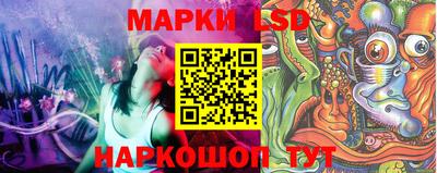 соль ск Новозыбков