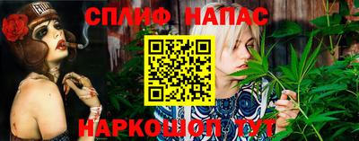 соль ск Новозыбков