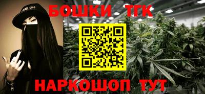 соль ск Новозыбков