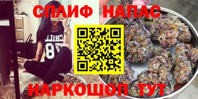соль ск Новозыбков